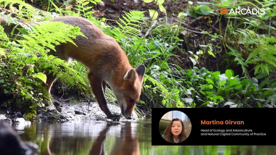 Nature restoration: challenges with using and verifying biodiversity credits with Martina Girvan, Arcadis